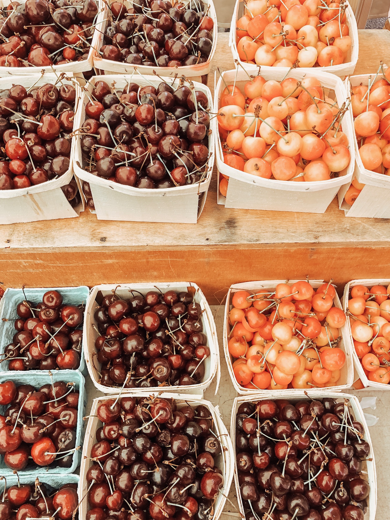 Grocery Guide and Tips to save while shopping